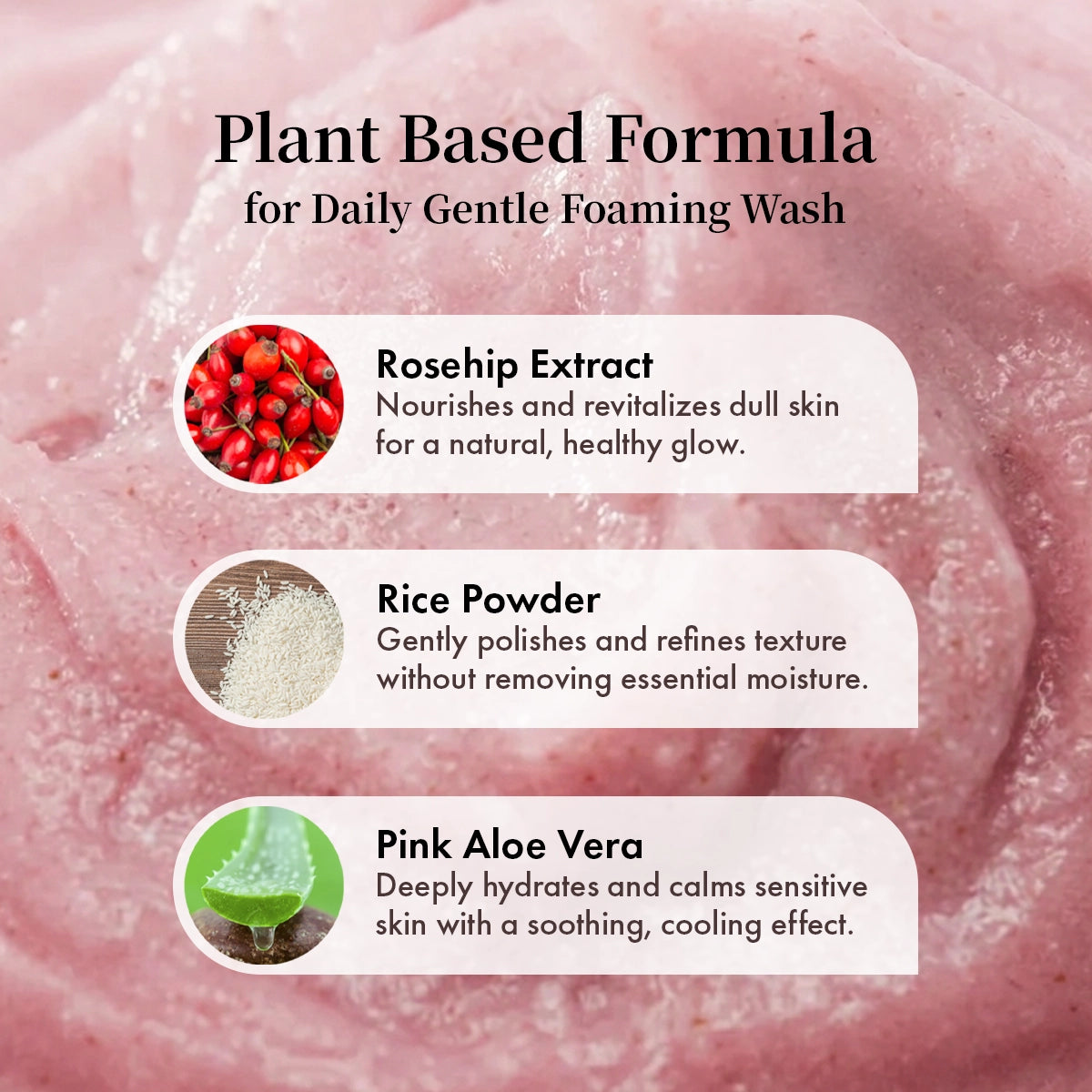 Arencia Fresh Rosehip Rice Mochi Cleanser (120g)